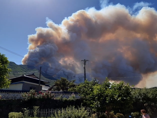 [속보] 건조·강풍 속 밀양 산불 대응 2단계 격상…100가구 주민대피령