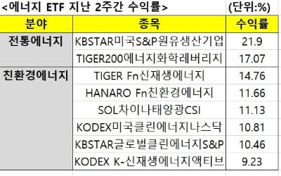 에너지 패러다임 대전환에…전통·친환경에너지 ETF 고공행진