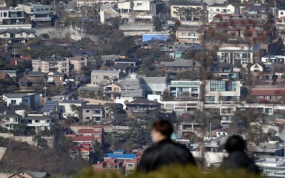 "은퇴 후 단독주택 살겠다"…실거주·투자수요 몰려 인기