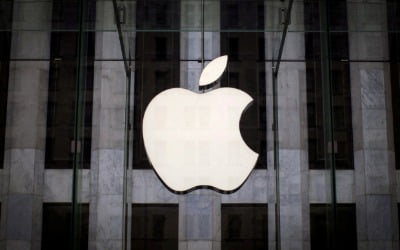 "피난처 애플마저…" 애플이 뉴욕증시에 악재인 진짜 이유 [설리의 글로벌 픽]