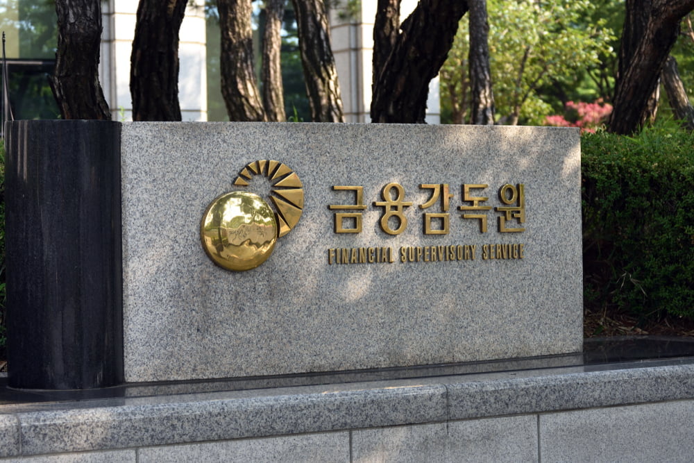 금감원, '루나 사태' 관련 페이코인·클레이 등 현장 점검