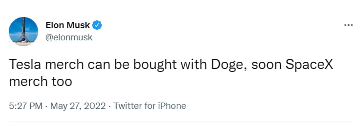 머스크 "DOGE로 테슬라·스페이스X 상품 살 수 있게 될 것"