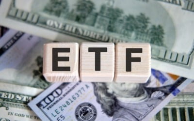 미국 ETF로 다달이 배당 받기