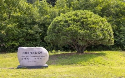 한국도 인구절벽 '공포'…통일되면 부동산 수요 늘어날까