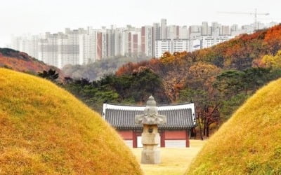 결국…'왕릉 아파트' 이달말 입주 예고에 구청 승인 고심