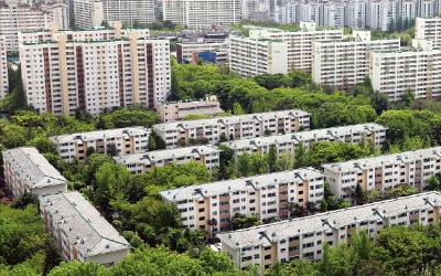 '집값 선행지표' 서울 경매시장 봄바람 분다