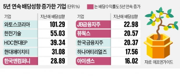 5년째 통큰 배당…주주 웃게 한 기업 담아라