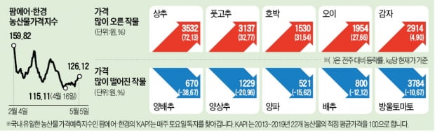 '金자' 된 감자, 겨울 이상저온에 씨 말라…가격 더 뛴다