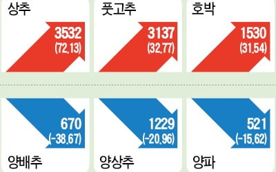 '金자' 된 감자, 겨울 이상저온에 씨 말라…가격 더 뛴다