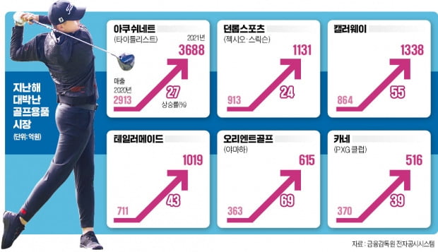 '골프산업 초호황'…타이틀리스트, 클럽·공만 2천억 팔아 