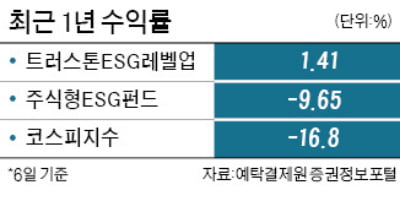 트러스톤ESG레벨업펀드, 지배구조 개선해 수익 추구…하락장에도 플러스