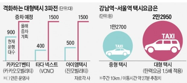 대형 택시 전성시대…'월천 기사' 쏟아진다