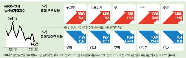 청양고추에 밀려 재배 급감…풋고추, 도매가 9년 만에 최고