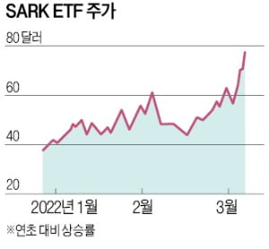 美 성장주 하락에 베팅한다…'청개구리 ETF' 수익률 89%