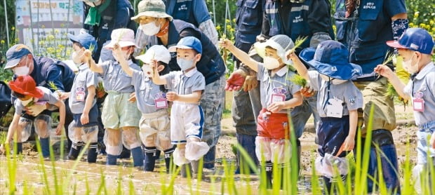 [포토] “모를 이렇게 잡고 심으면 되나요?” 