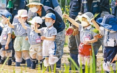 [포토] “모를 이렇게 잡고 심으면 되나요?”