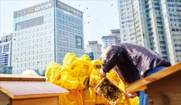 KB금융그룹 직원 가족들이 국민은행 본관 옥상 양봉장에서 체험을 하고 있다.  /KB금융 제공 