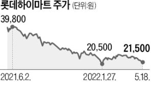 적자에 잇단 폐점…가전양판점 '잔혹한 계절'