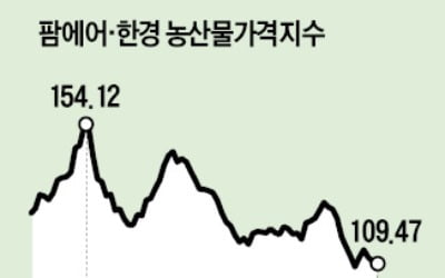 봄 가뭄에 무값 88% 급등…깍두기 먹기 더 힘들어지나