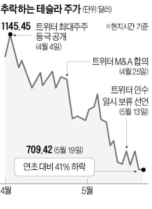 머스크, 트위터 욕심에 테슬라 주가 연일 추락