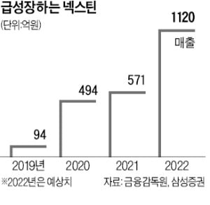 美·中 반도체 전쟁…틈새 노린 넥스틴 '반사이익'