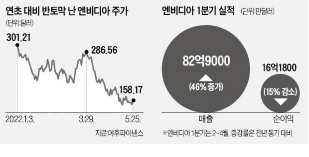 호실적에도 '눈높이' 꺾이니…엔비디아·스노플레이크 '털썩'