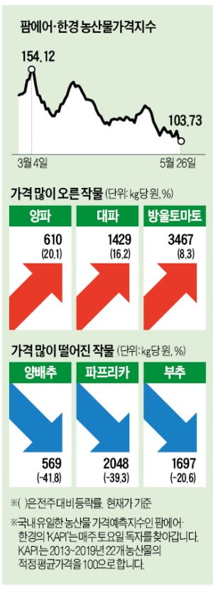 1주새 42% 떨어졌지만…양배추값 여전히 비싸네