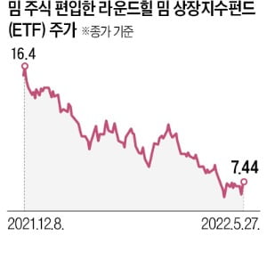 밈 주식, 연일 '롤러코스터'…전문가 "투자하기엔 위험"