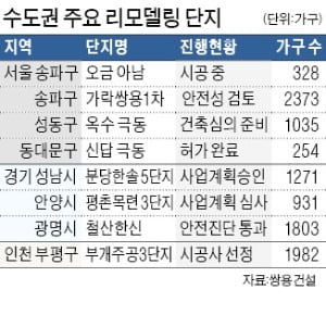 "재건축 완화 늦을 것"…리모델링 72% 늘었다