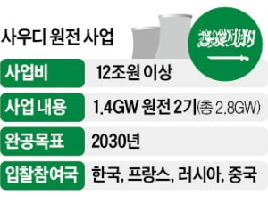 사우디에 수출하려면 美 협조 필수…시험대 선 '韓·美 원전동맹'