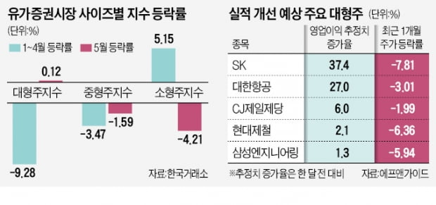 소외받던 대형주 '꿈틀'…주도주로 컴백?