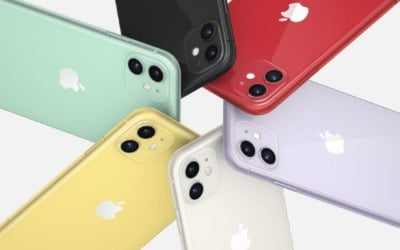 "30만원 낮췄다"…애플 마지막 LTE폰 '아이폰11 2022' 출시