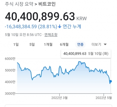 사실은 기관도 물렸다…가상 자산 시총 전고점 대비 50% 폭락