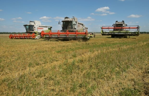 우크라이나 체르니고프주의 위치한 농장에서 농부들이 곡물을 수확하고 있다. (사진=연합뉴스)