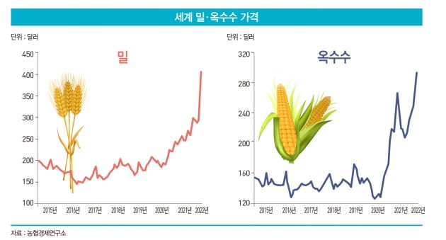ABCD가 지배하는 글로벌 곡물 시장…한국 기업의 역할은 