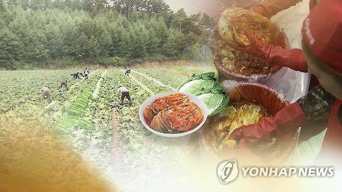 코로나19로 관심 커진 김치…충북 세계시장 공략 강화