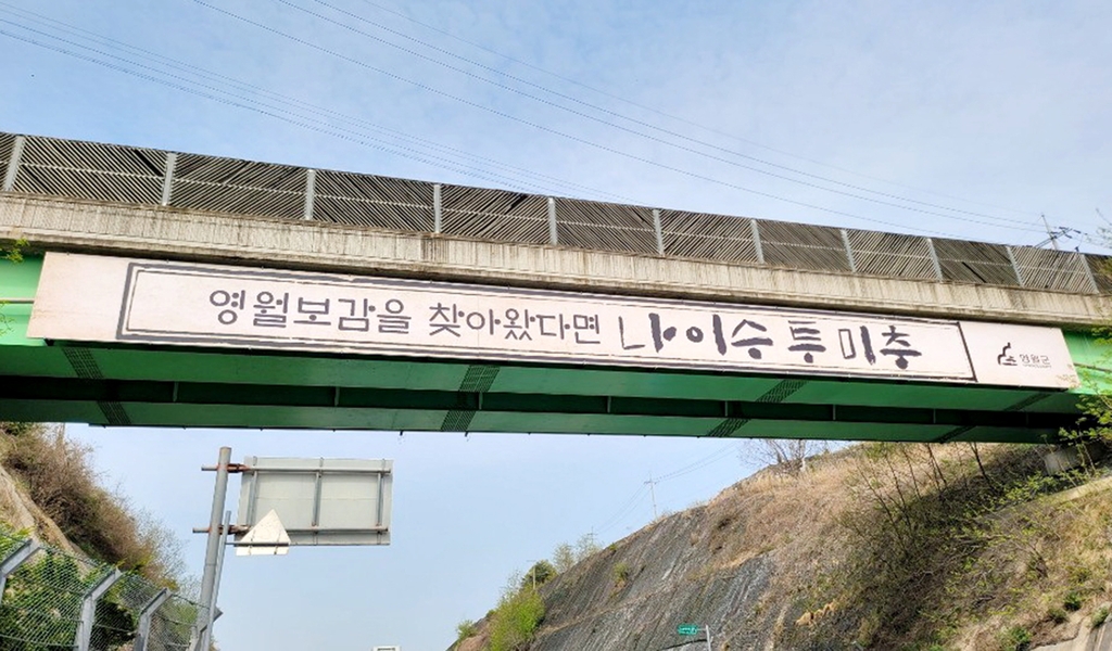 '영월보감을 찾아왔다면 나이수투미추'