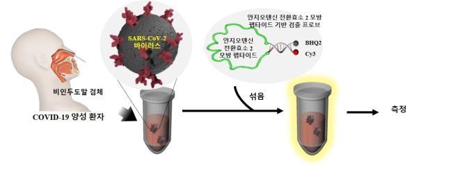 신종 감염병 50분만에 진단 키트기술 개발…생명연 "95% 정확도"