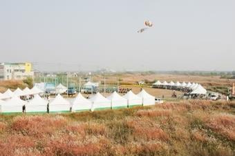 평택호 물빛축제·원평나루 억새축제, 올가을 4년 만에 개최