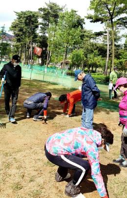 천안 파크골프장, 이용자 급증으로 절대 부족…"늘려 주세요"