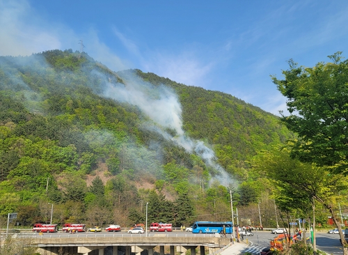 강풍·건조특보 속 태백서 산불…1시간 30분 만에 진화(종합)