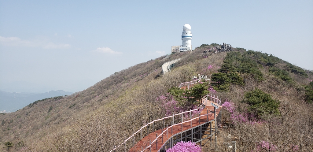 해발 1천m 비슬산, 휠체어로 오른다…열린관광지로 조성