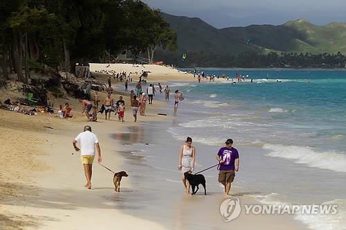 '골든위크'에 해외 찾은 日 관광객, 역대급 엔저에 '물가 쇼크'