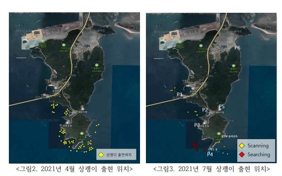 "가덕도에 상괭이 서식, 활주로는 조류충돌 위험…보존 필요"