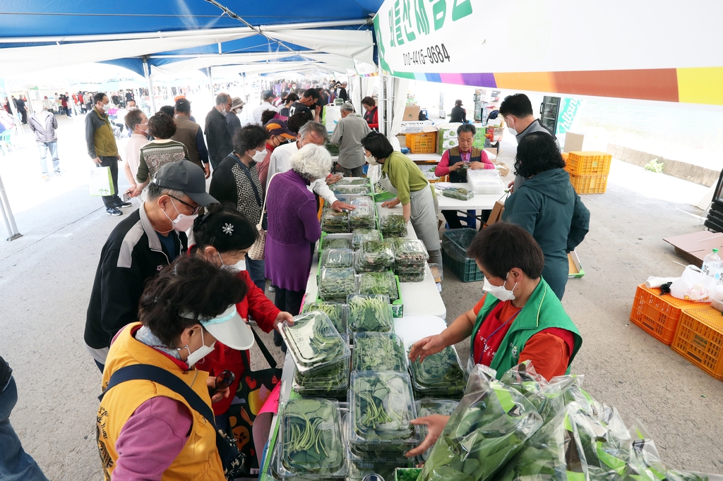 홍천산나물축제 판매장터 성료…사흘간 7만명 찾아