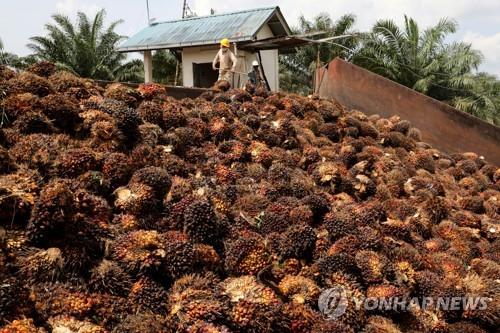 인니 팜유 수출 금지령에 말레이시아 공급 늘린다