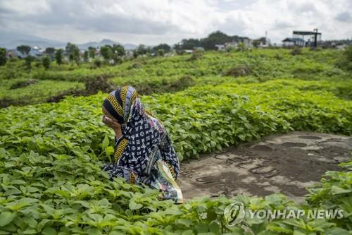 아프리카 '코로나 과부' 양산…남편 잃고 집·미래 도둑맞아