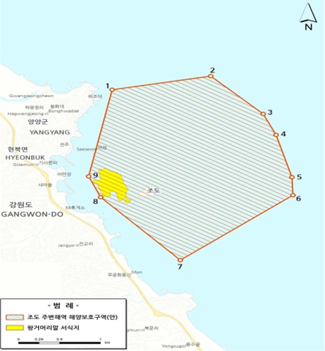 해양보호생물 '왕거머리말' 서식하는 양양 조도 해역 현장점검