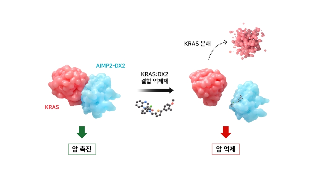 국내 연구진, 암 인자 'KRAS' 결합 억제 방법 발견