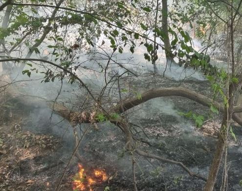 파주 야산에서 산불…1시간 15분 만에 진화